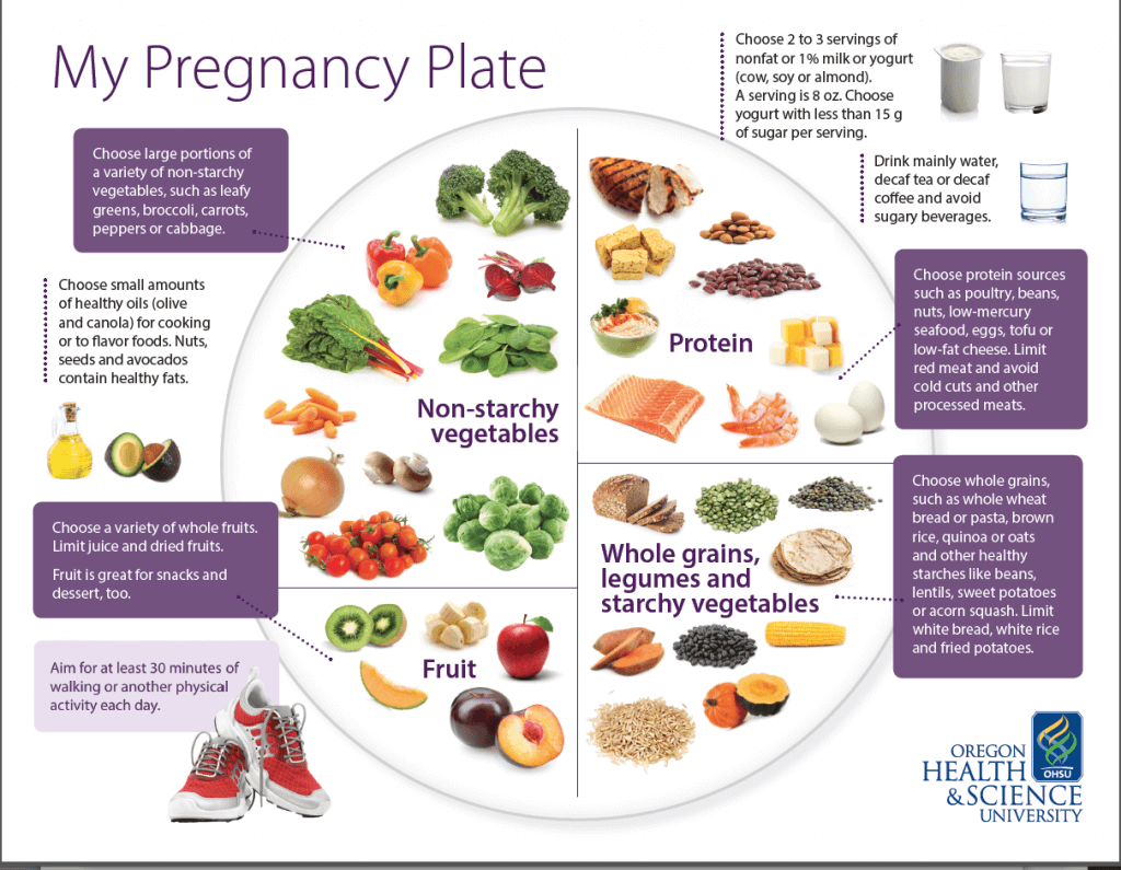 Top 10 Foods To Include During Pregnancy And After Calorie Care